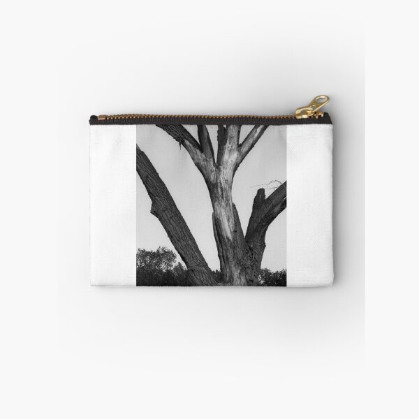 Item preview, Lightning scarred tree designed and sold by Thaddeus Zajdowicz.