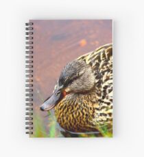 Portrait of a Duck Spiral Notebook
