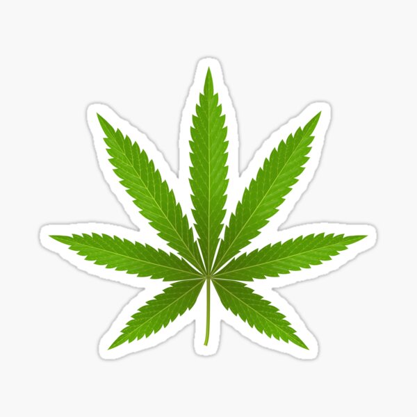 Vista previa del artículo con la obra «Hoja De Marihuana», diseñado y vendido por William Fehr.