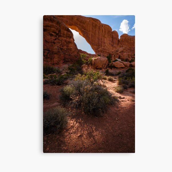 South Window Arch Canvas Print