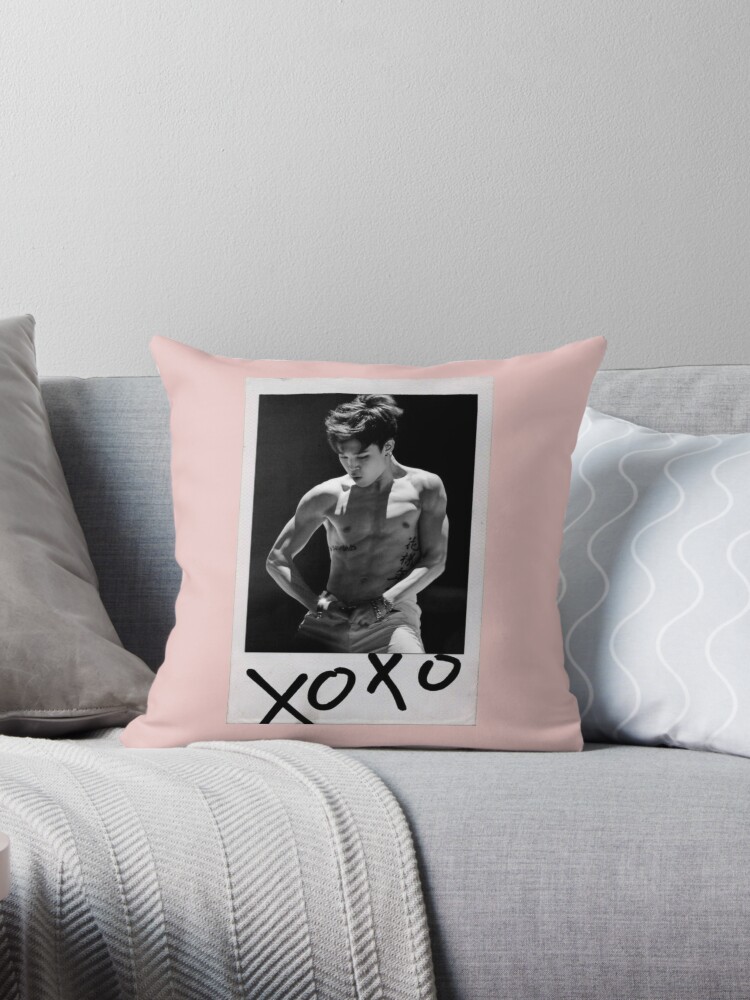 https://ih1.redbubble.net/image.689560129.7105/throwpillow,small,750x1000-bg,f8f8f8.u4.jpg