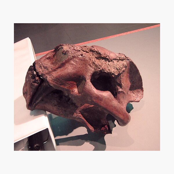 Item preview, FEB Thomas Condon Paleocentro de Central Oregon Feb designed and sold by Dave Sandersfeld.