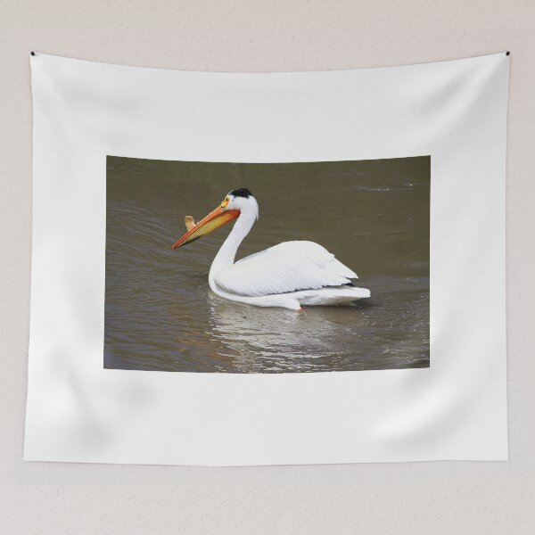Item preview, American White Pelican designed and sold by Alyce Taylor.