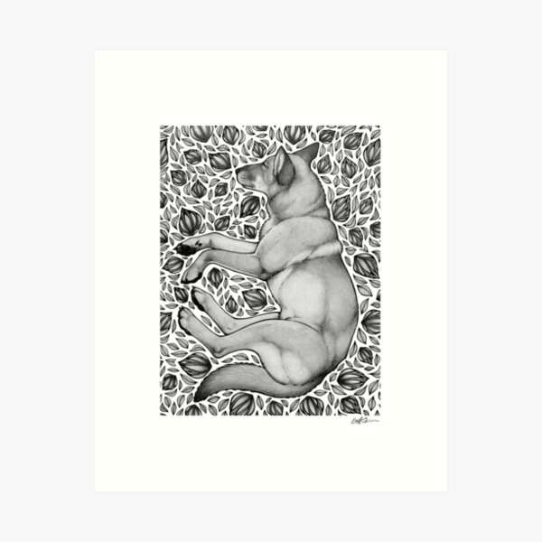 Aperçu de l'œuvre Dingo Rêver créée et vendue par Britt Sorensen.