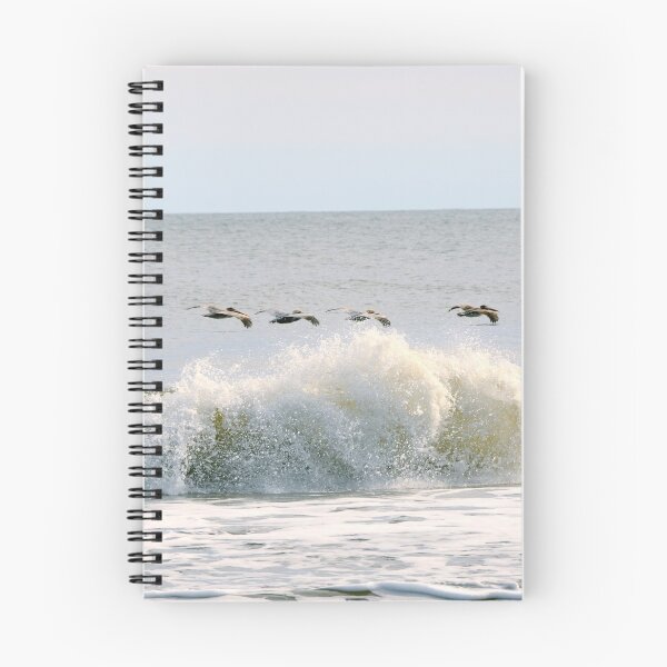 Item preview, Pelican's Skimming the Ocean designed and sold by 2CrabbySisters.