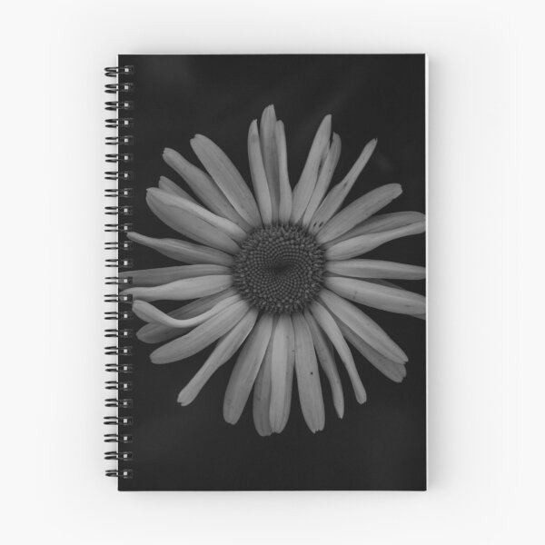 Item preview, The Daisy and the Void designed and sold by AAHImages.