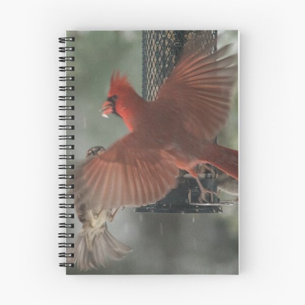 Item preview, Cardinal flying by the feeder designed and sold by CunningFoxPhoto.