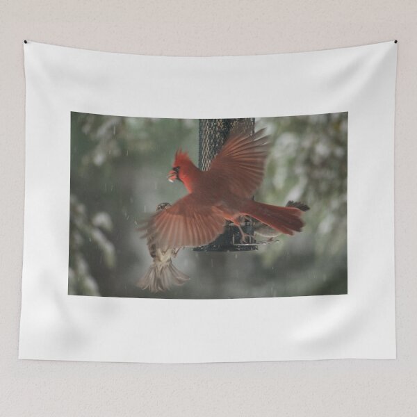 Item preview, Cardinal flying by the feeder designed and sold by CunningFoxPhoto.