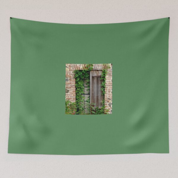 Item preview, Old Window with Missing Shutter and Growing Ivy designed and sold by 2CrabbySisters.