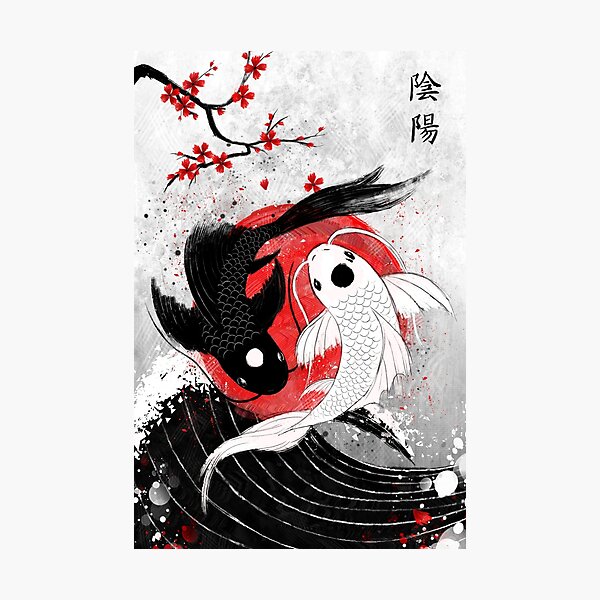Koi fish - Yin Yang Photographic Print