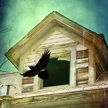 Artwork thumbnail, Freedom by The Souls Chamber
