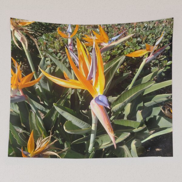 Item preview, Paradise Found!   Wake up to Nature Duvet and Accessories  designed and sold by youzername.