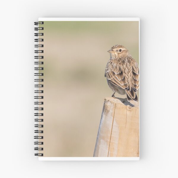 Item preview, Skylark designed and sold by LaurenTucker.