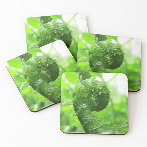 Item preview, Fern, Beginning Life designed and sold by Sharon Schwalbe.