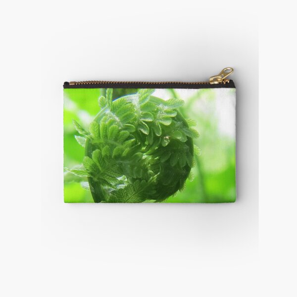 Item preview, Fern, Beginning Life designed and sold by Sharon Schwalbe.
