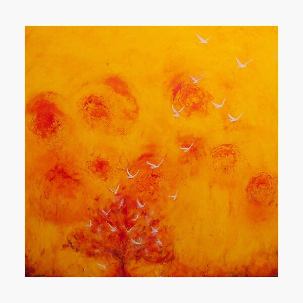 Freedom Photographic Print