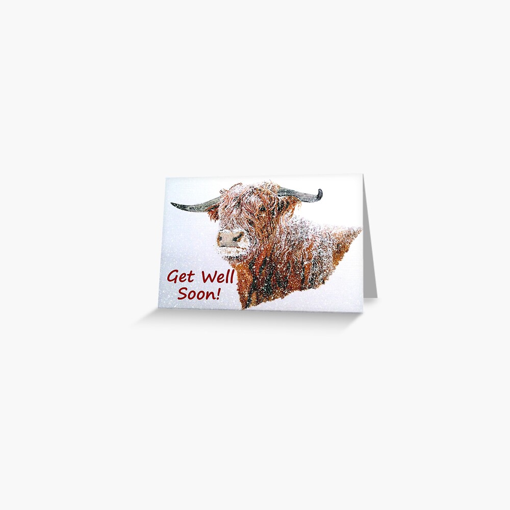 Snowy Highland Cow - Get Well Soon Card Greeting Card