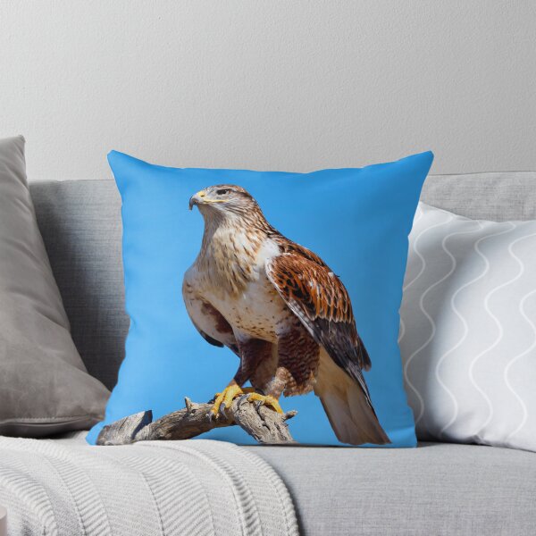 Item preview, Ferruginous Hawk Portrait designed and sold by Kathleen Bishop.