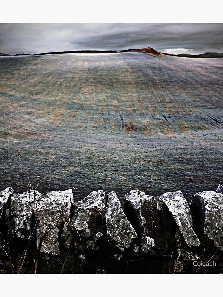 Thumbnail 3 of 3, Art Print, Drystone + Frostfield designed and sold by Coigach.