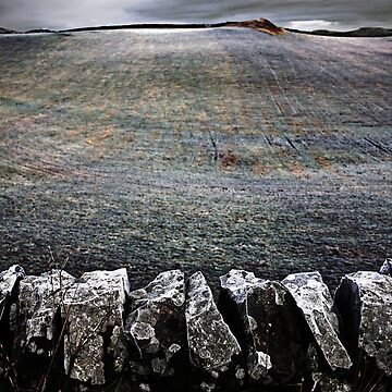 Artwork thumbnail, Drystone + Frostfield by Coigach