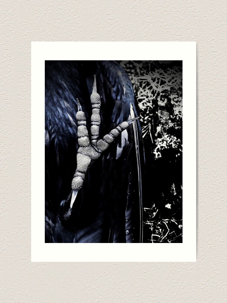 Thumbnail 1 of 3, Art Print, Crowfoot2 designed and sold by Coigach.