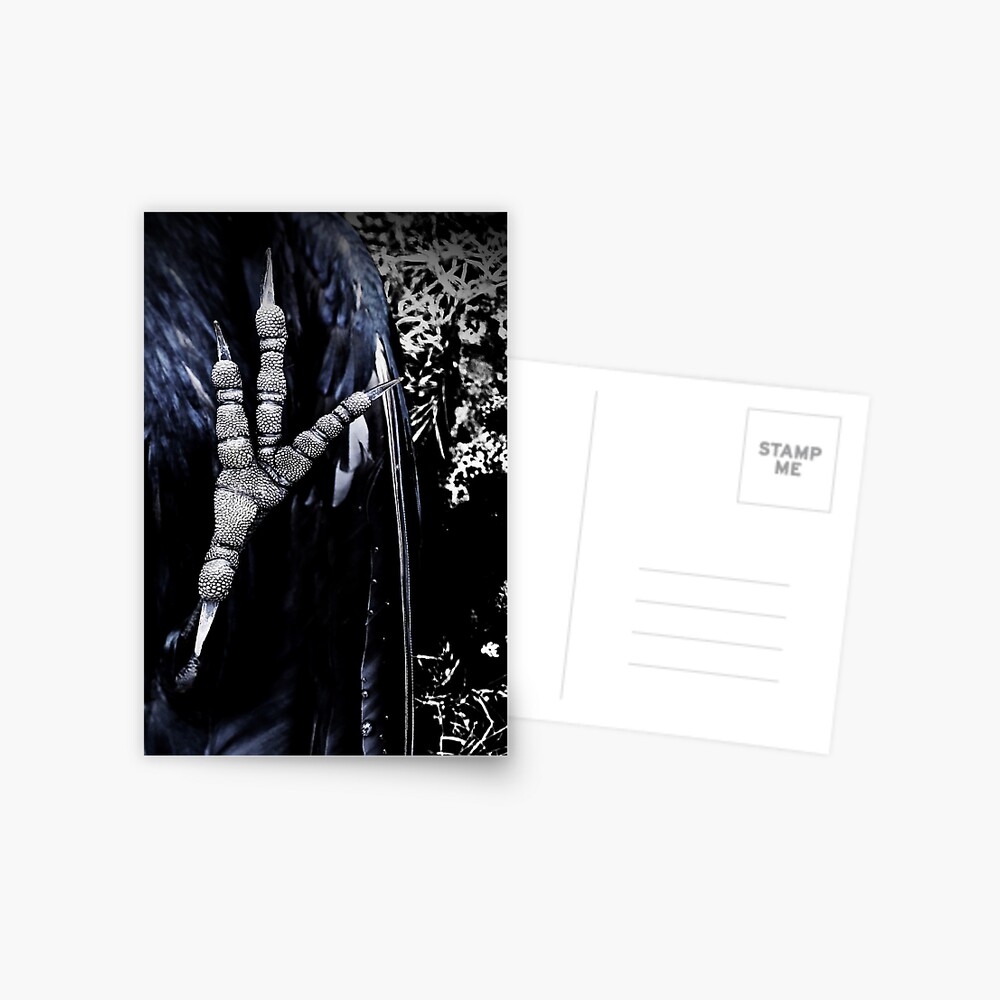 Item preview, Postcard designed and sold by Coigach.