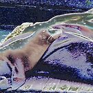 « Repos » par worldwidewebb