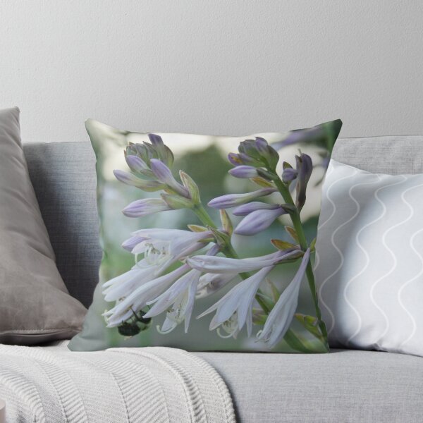Item preview, Summer Hostas designed and sold by Gilda Axelrod.