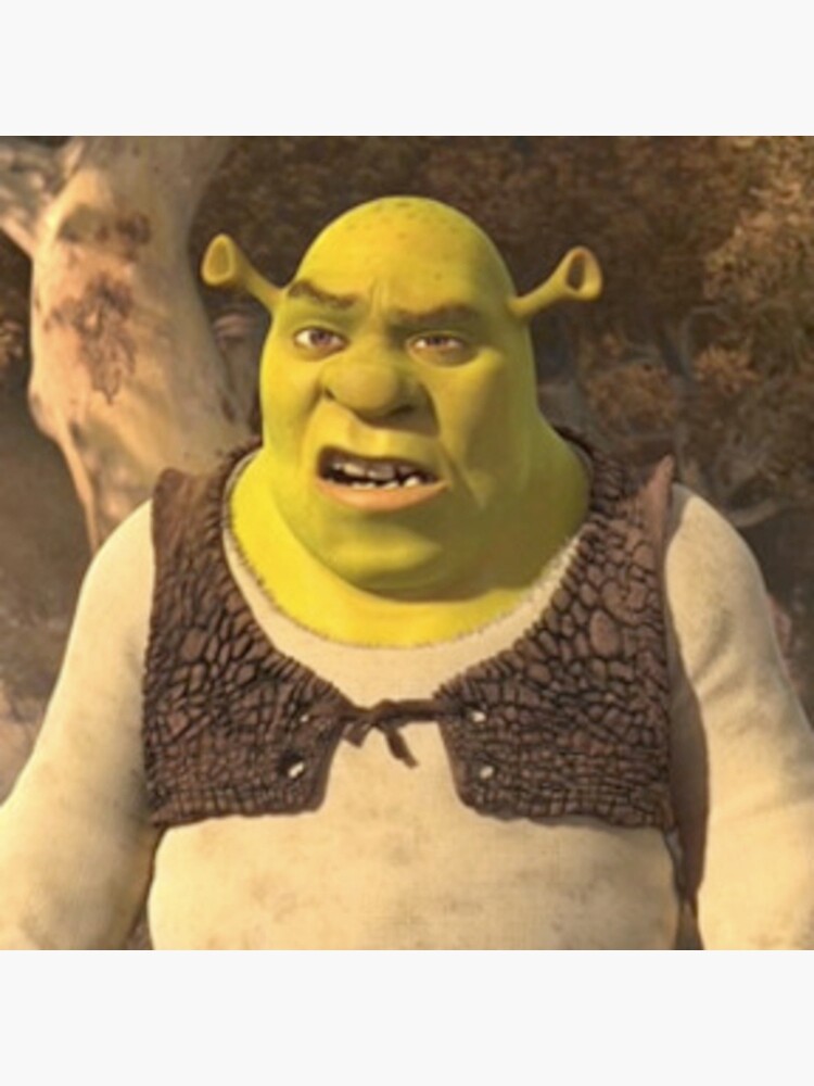 Shrek Confusion : r/MemeRestoration