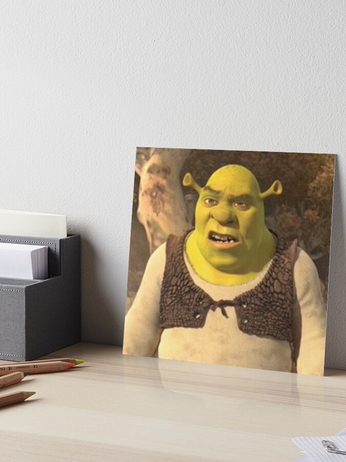 Shrek Confusion : r/MemeRestoration