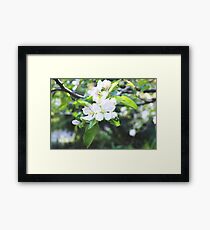 flowers. Framed Print