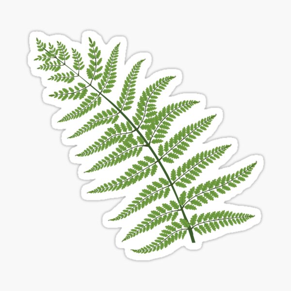Tropical Forest Stickers Redbubble - roblox leaf decal