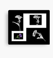 Colage Canvas Print