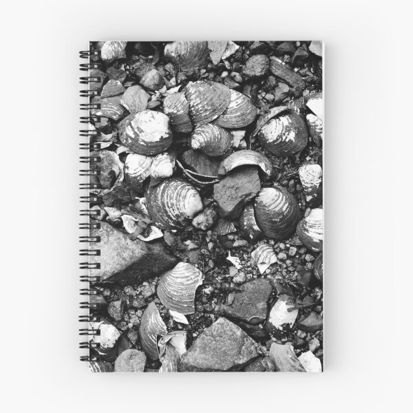 Item preview, Clams designed and sold by NGraham72.