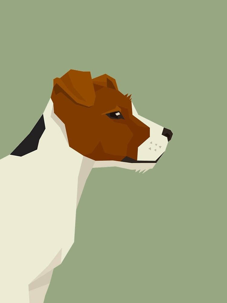Jack Russel Terrier by tcarey