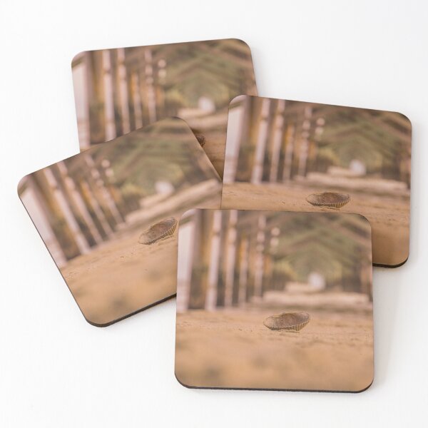 Item preview, Shells scapes designed and sold by KensLensDesigns.
