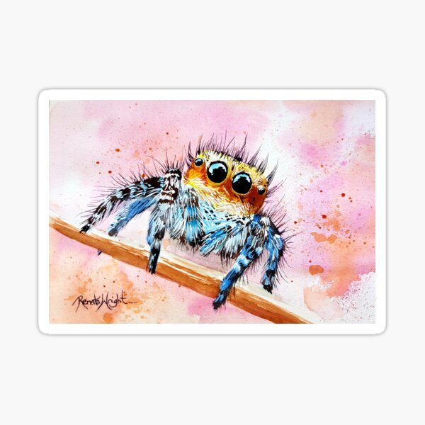 Item preview, "Sunny" - cute little jumping spider designed and sold by Renata Wright.