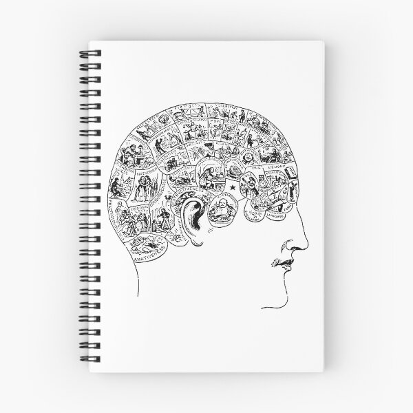Item preview, Phrenology Skull designed and sold by avidfan2000.
