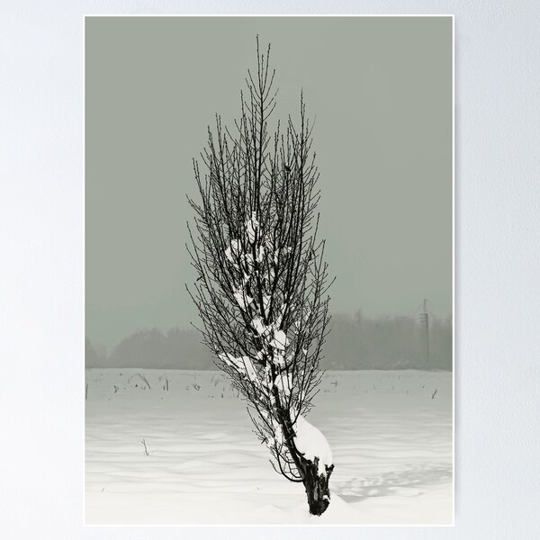 Item preview, snow in the night designed and sold by Luca Renoldi.