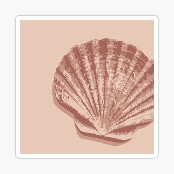 Peach Seashell Sticker