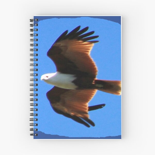 Item preview, Eagles view of my world   designed and sold by GleniseClelland.