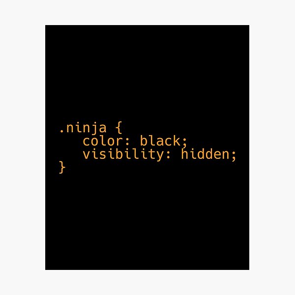 "CSS Coding Ninja " Photographic Print for Sale by Evelyus | Redbubble