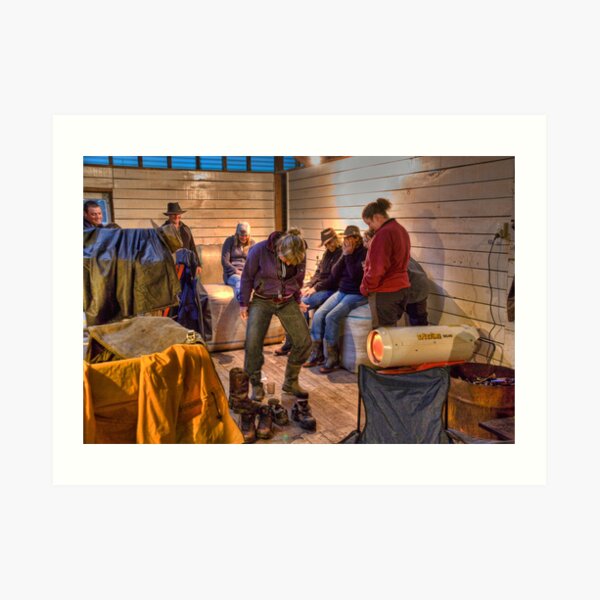 Woolshed at Dry Creek 3 Art Print