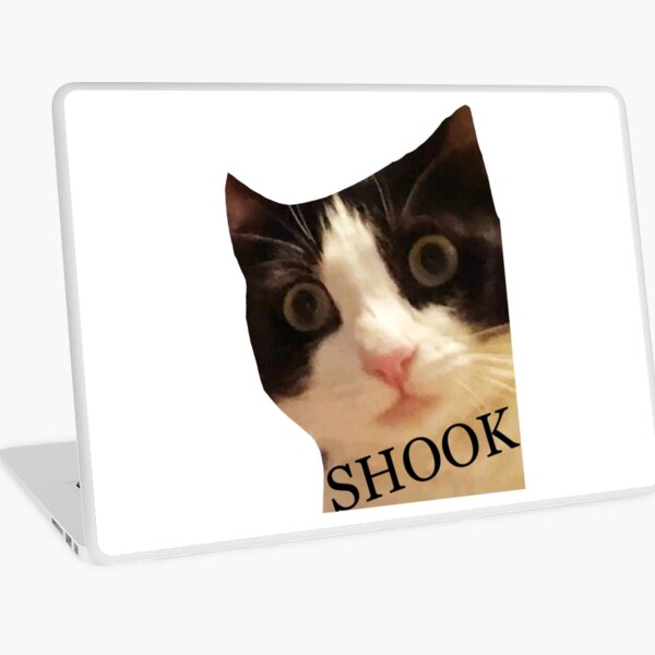 shook kitty Laptop Skin