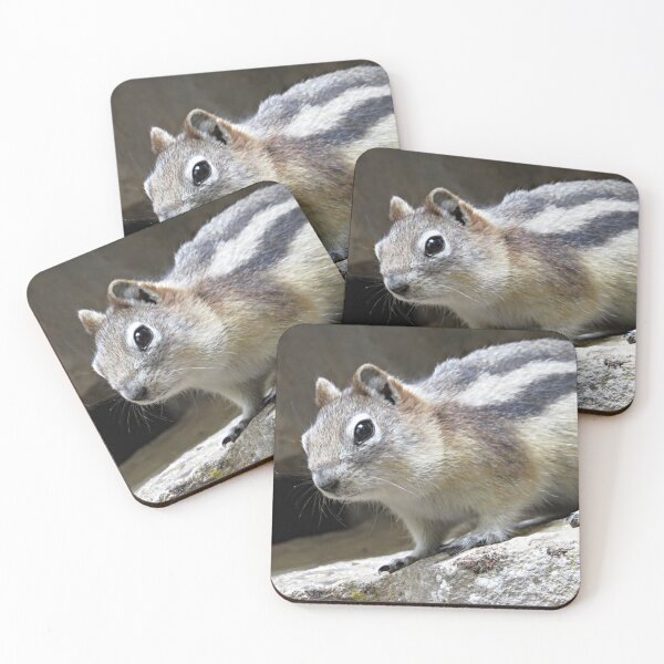 Item preview, Una ardilla listada designed and sold by Honey Myrtle Studio.
