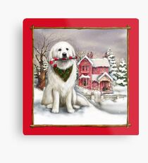 Iceberg and a Victorian house with red border Metal Print