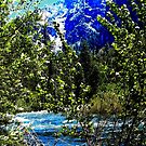 « Raging River # 1 » par worldwidewebb