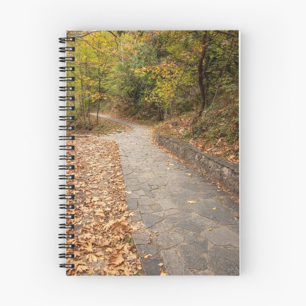 Item preview, Stone-paved footpaths strewn with dry fall foliage in the woods. Greece designed and sold by EG Creativity Art.
