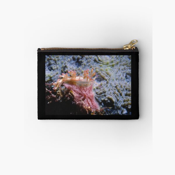 Item preview, Flabellina bilas designed and sold by Erik Schlogl.
