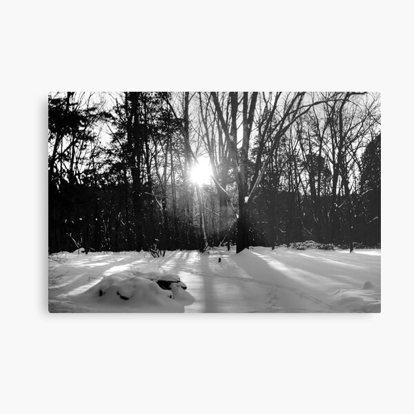 Snow B&W Metal Print